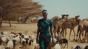 Обзор ‘Нави’: цена девушки