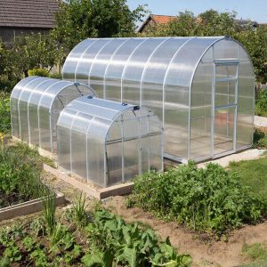 Искусство выращивания жизни под крылом поликарбоната